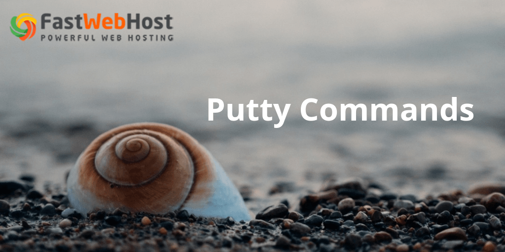putty meaning in english